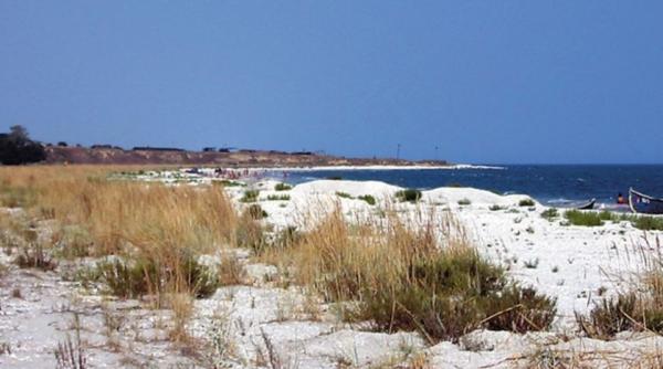 Decizie de ultimă oră. Ce se întâmplă cu plajele sălbatice din Delta Dunării