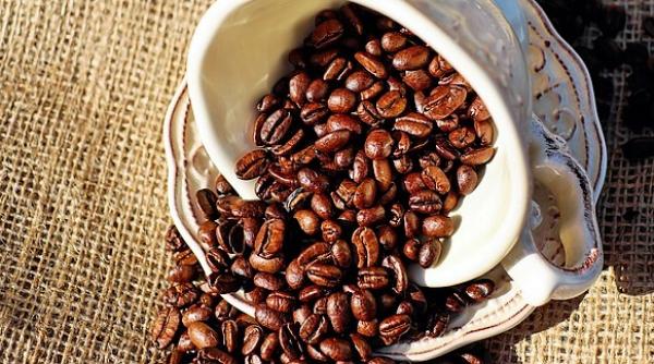 Cea mai scumpă cafea din lume. Este din Panama se bea doar în SUA