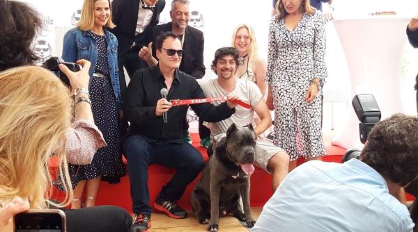Câinele din filmul lui Tarantino de la Cannes, premiat cu ”Palm Dog” VIDEO