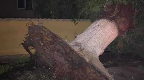 Furtuna a făcut prăpăd în Corabia Galerie Foto