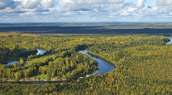 Misterele Siberiei. O descoperire care i-a pus în încurcătură pe cercetători