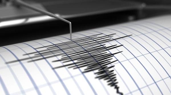 Cutremur de 7,4 în Noua Zeelandă. Alertă de tsunami 