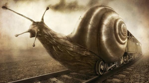 Două trenuri au ajuns după 30 de ore pe litoral. De unde au plecat