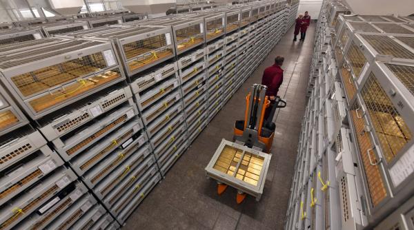 Legea repatrierii rezervelor de aur, dezbătută de CCR