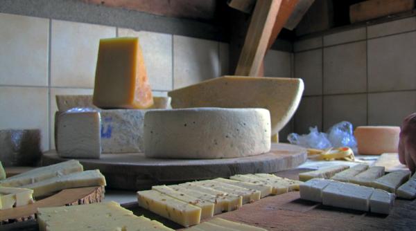 Scădere ușoară a importului de lapte. Câtă brânză s-a produs