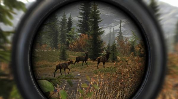 Absența acestui permis îi poate trimite pe români la închisoare