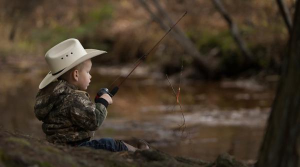 Subvenții de peste 5 milioane de euro pentru tinerii producători din acest domeniu