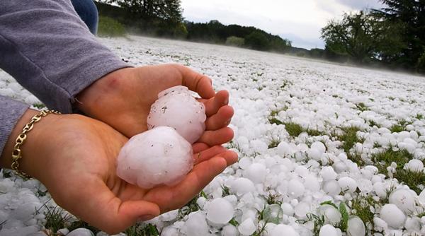 Grindină cât portocala. A fost prăpăd!