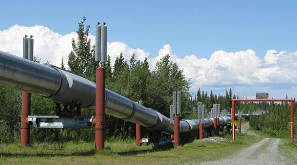 Transgaz a finalizat deja aproape jumătate din conducta BRUA 