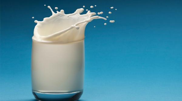 În România e necesar mai mult lapte decât există. Cine spune asta