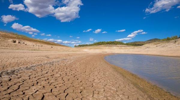 Seceta din Europa face ravagii în agricultură