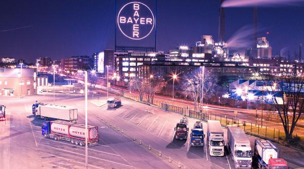 Acțiunile Bayer se scufundă sub presiunea scandalului legat de erbicidul cu gliphosat