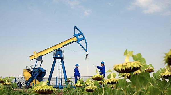 OMV Petrom, profit net în creştere cu 53% 