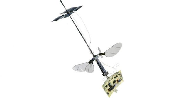 A fost creat primul microbot autonom zburător VIDEO