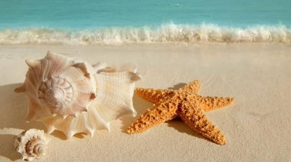 Voucherele turistice, ce spun touroperatorii