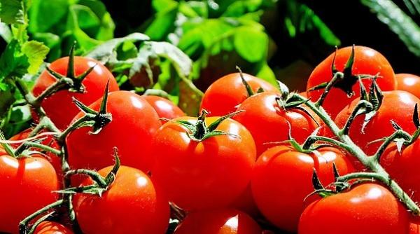 Noi prevederi privind produsele ecologice