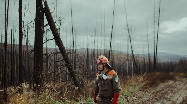 Cea mai mare pădure a lumii arde de multe luni iar fumul ne sufocă pe toți