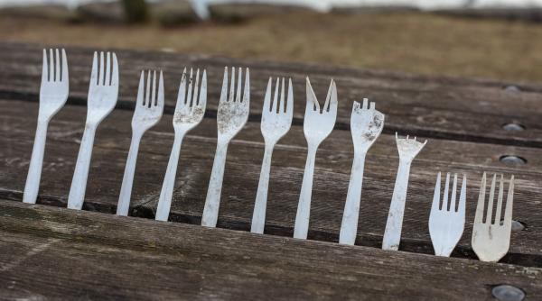 Lidl elimină toate produsele de plastic de unică folosință