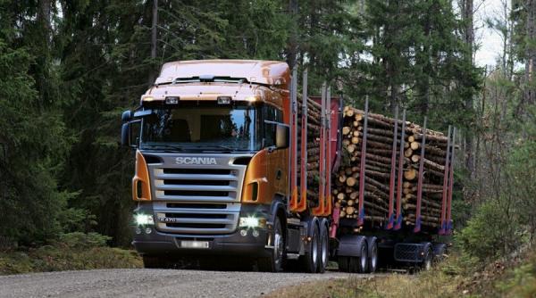 Cât lemn a vândut România în 2018