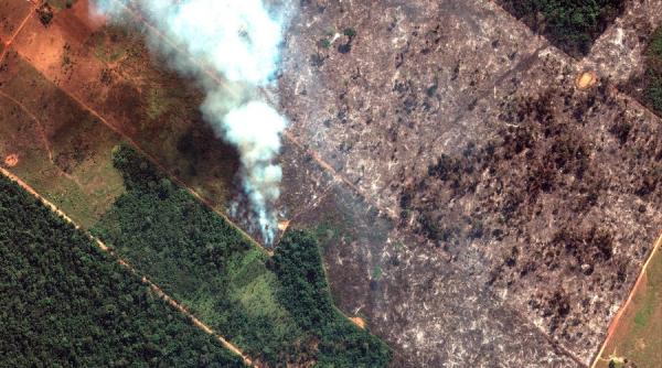 Ard plămânii Pământului! Dezastrul pădurilor amazoniene, văzute din spațiu FOTO