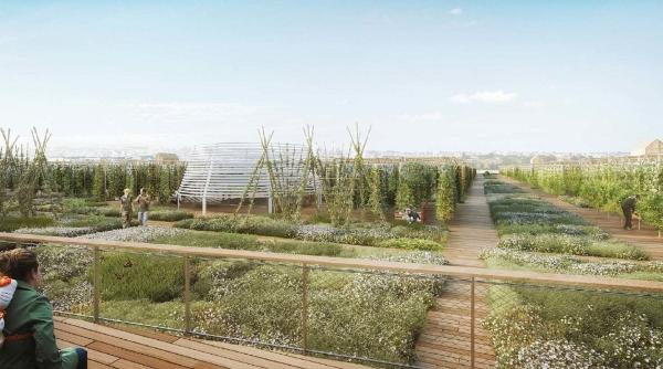 Cea mai mare livadă urbană va fi pe acoperișurile din Paris GALERIE FOTO