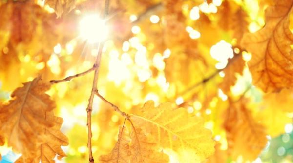   Prognoza meteo. Vara nu ne părăsește încă. Recordurile lunii septembrie