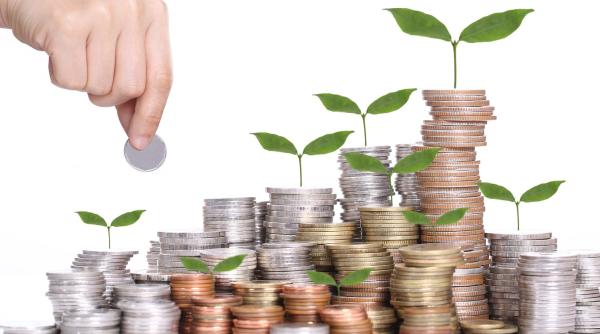 Investiţiile nete în economia naţională, în creştere cu 12,1% 