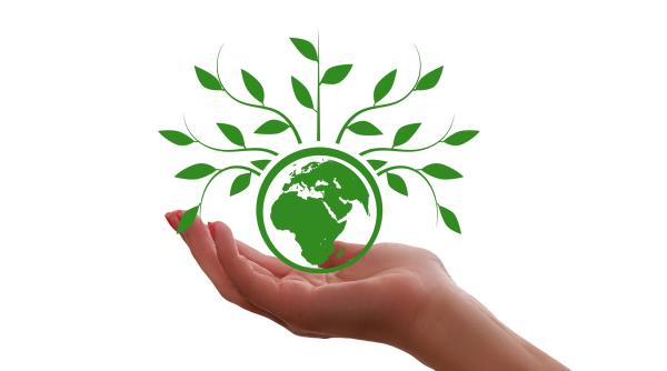 Zeci de companii vor să-și reducă emisiile de gaze cu efect de seră