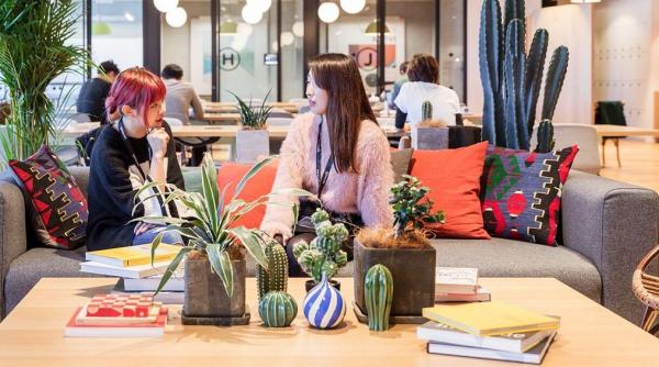 Companie de succes, devenită exemplu negativ la Silicon Valley