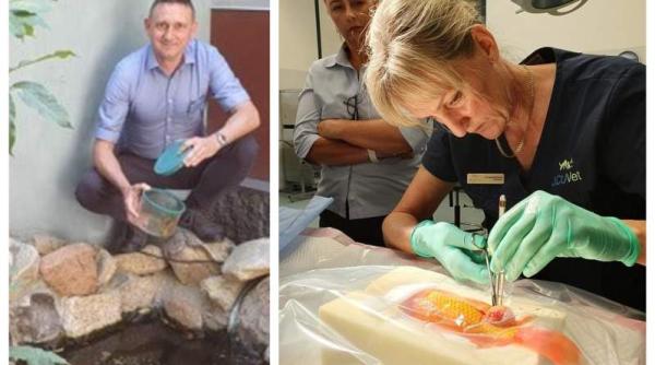 Au cheltuit sute de dolari să-și opereze peștișorul