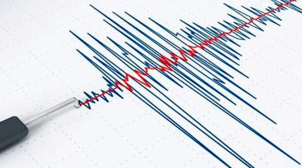 Cutremur în Vrancea, în această dimineață