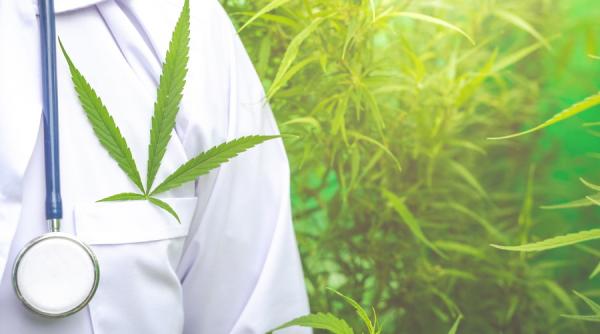 Legalizarea canabisul medicinal în România. Ce propun senatorii