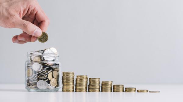 IDEI DE AFACERI. Aceste business-uri produc bani și pe timp de criză