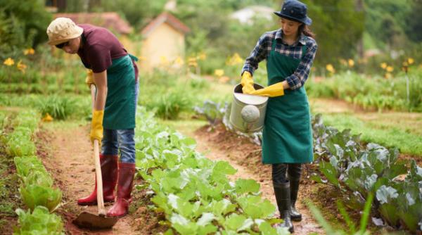 Nouă tendiță în turismul românesc, vacanțe la fermele BIO