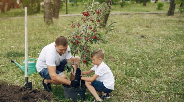 Ferma de familie, cea mai rezistentă formă de organizare