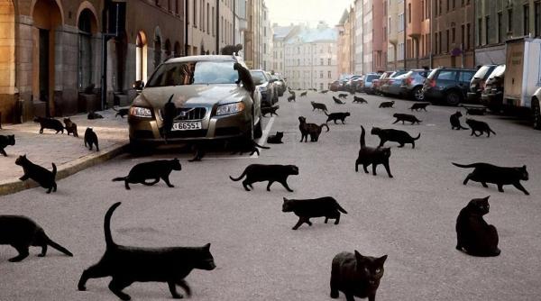 Ghinion de dimineață până seară. Zile periculoase din luna noiembrie