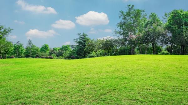 Ce afacere îți poți deschide la țară care nu țin de agricultură