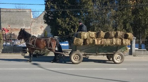 România, depășită de Argentian, Bulgaria și Mauritius la calitatea vieții