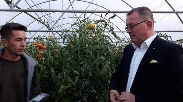 Ministrul Agriculturii promite: Porcul din gospodărie nu va dispărea