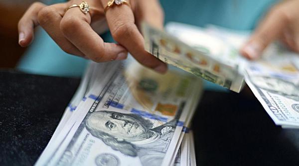 Curs Valutar. Leul se apreciază față de euro dar scade față de dolar