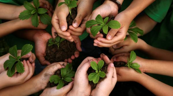 Situație de urgență! Decizie adoptată de Parlamentul European