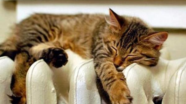 Căldura din casele bucureștenilor. S-a semnat acordul 