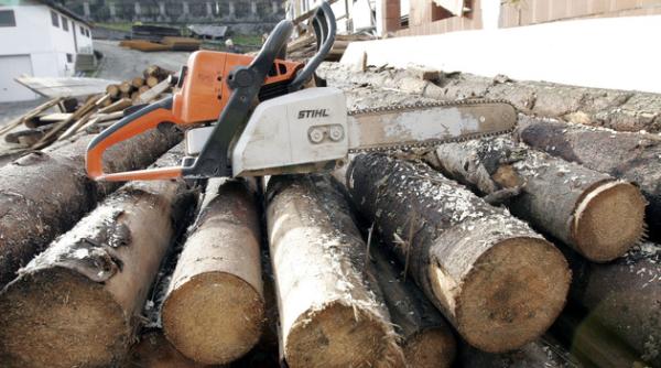 Lemnul s-a vândut bine. Afacerile sunt bănoase