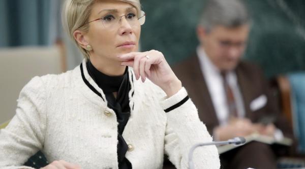 Turcan:Nu mai putem investi în proiecte IT gigantice