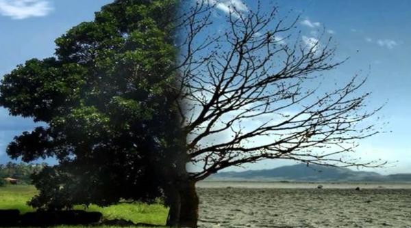 UE declară război schimbărilor climatice. Un plan ambițios