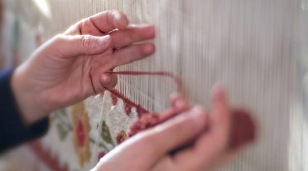 Rentă viageră. Proiect nou. Condiții absolut obligatorii