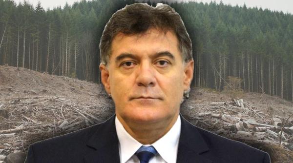 Cel mai bine plătit bugetar, responsabil de tăierile pădurilor, a fost demis