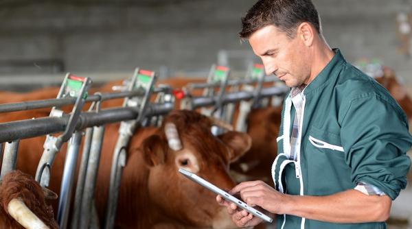 Salarii URIAȘE prevăzute într-o nouă lege. Condițiile cerute