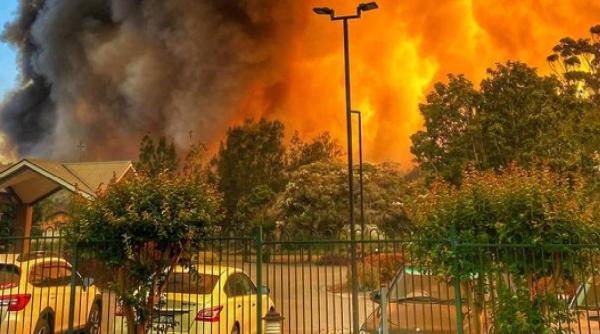 Incendii în Australia - Stare de urgenţă în statul New South Wales 
