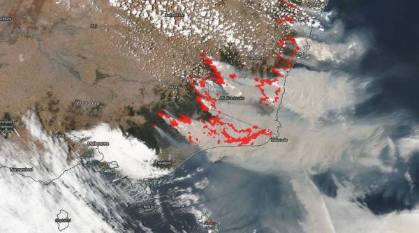 Catastrofa ecologică din Australia. Fumul incendiului a ajuns în America de Sud
